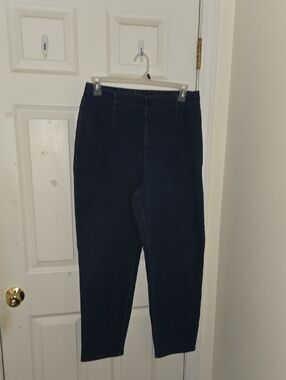 Classic Elements Dark Navy Stretch Jeggings